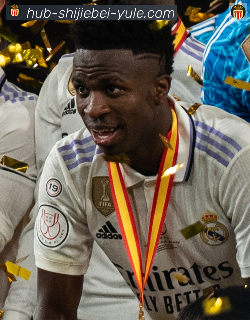 维尼修斯